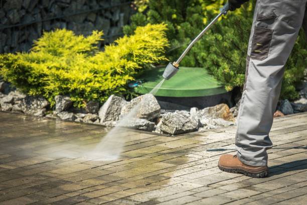 Best Pre-Holiday Cleaning  in Avon By The Sea, NJ